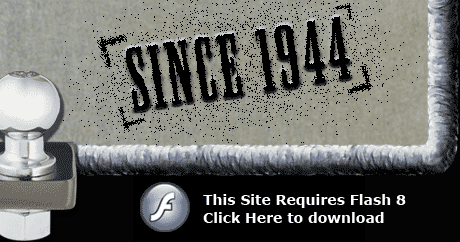 get the latest flash player